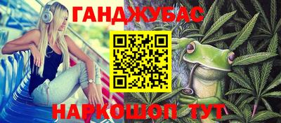 индика Дубна