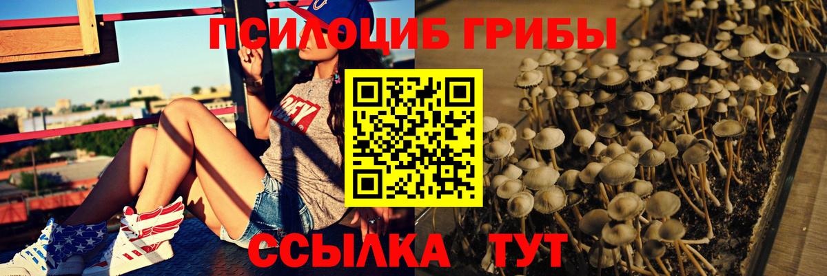 Псилоцибиновые грибы Psilocybine cubensis  Вход с VPN  Пенза  Галлюциногенные грибы ЛСД 