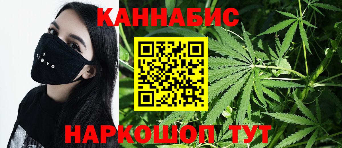 Пенза  Шишки марихуана план  Вход с VPN  Марихуана план  Канабис White Widow 